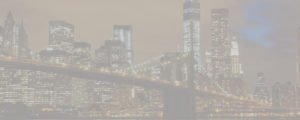 NY Brooklyn Bridge smaller reviews 3